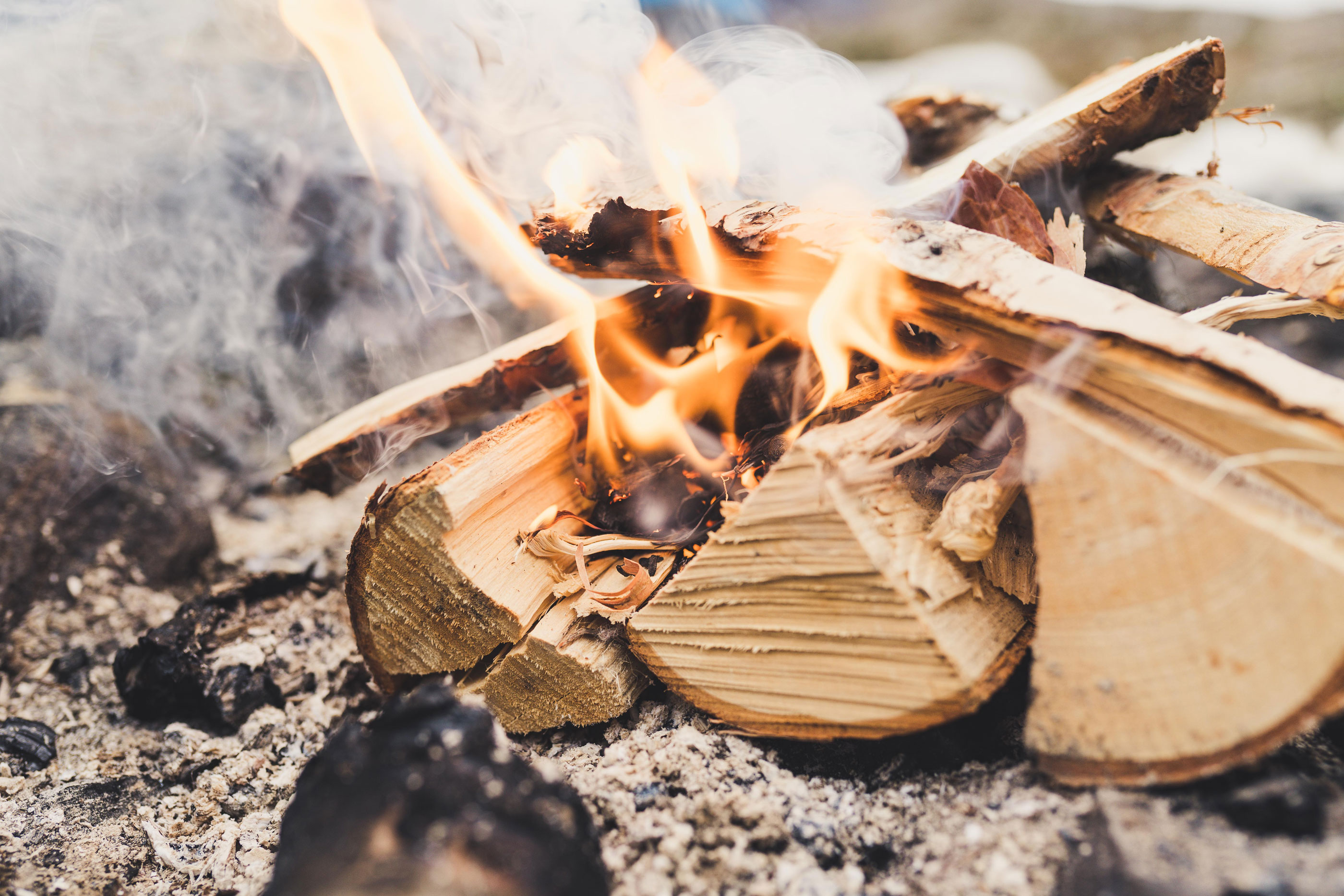 20181002 Untitled 9406 Web