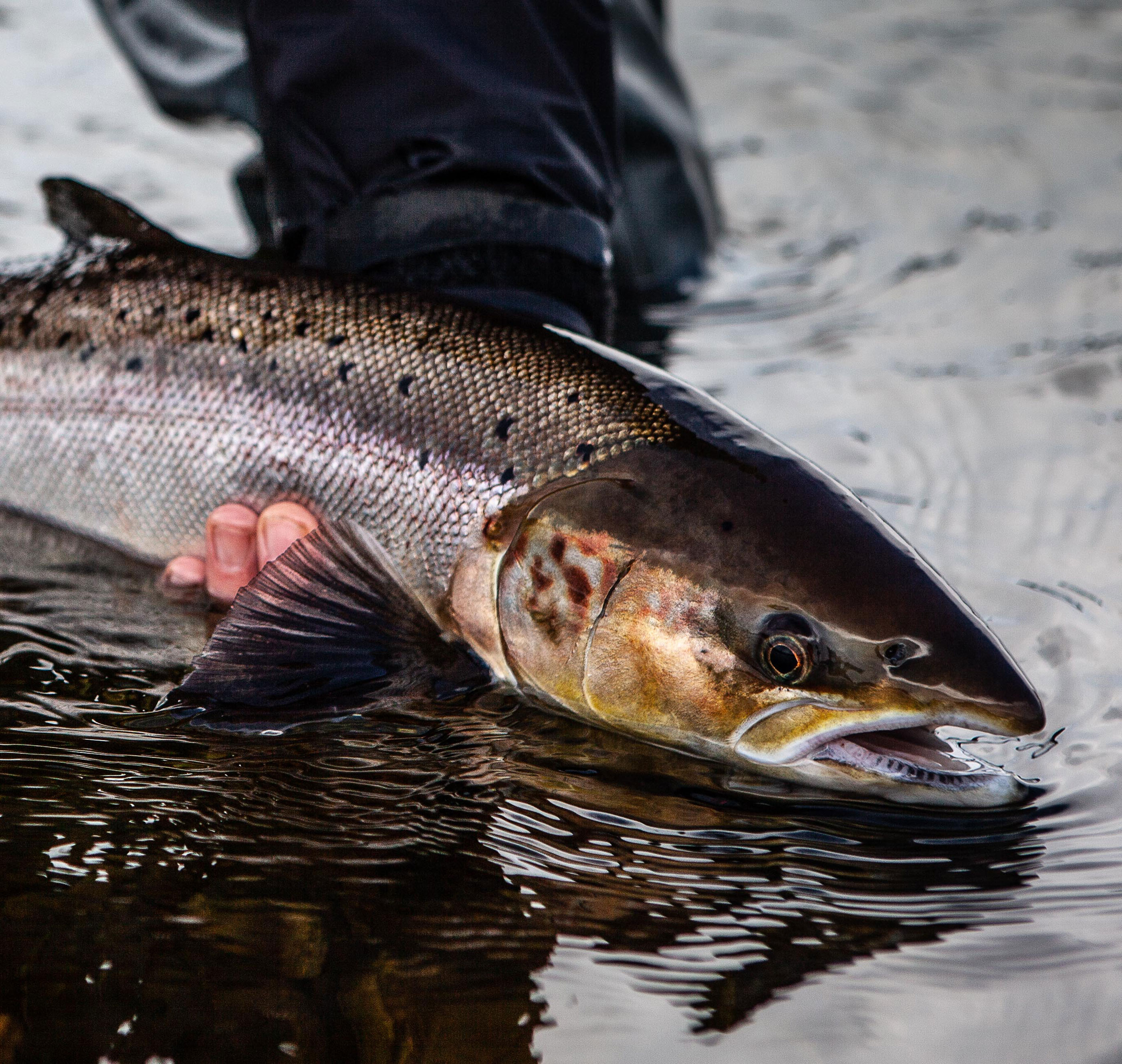 Jonasoutside 4437 Web