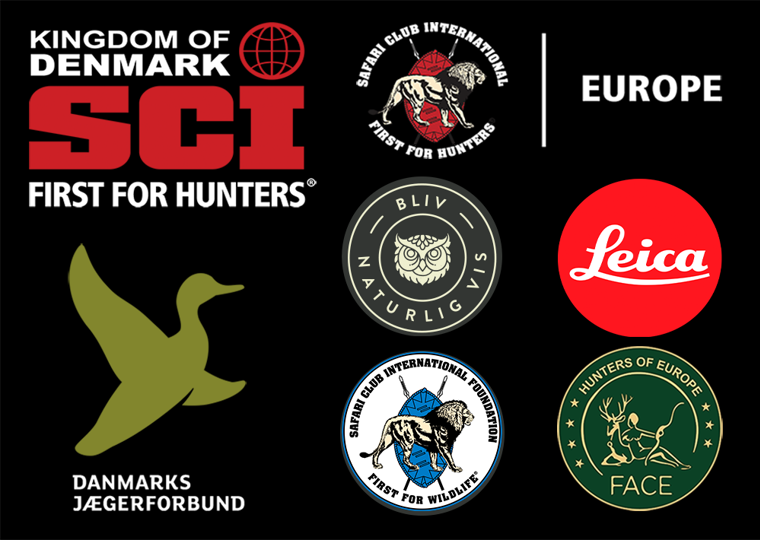 Logo Collage