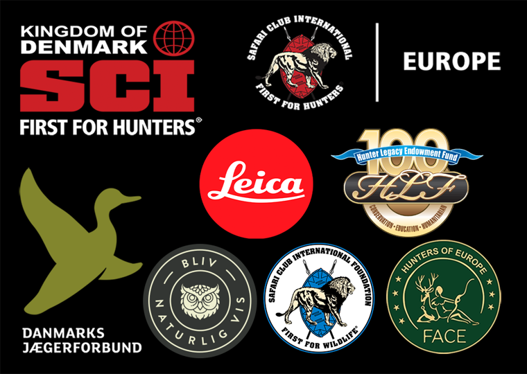 Logo Collage (1)