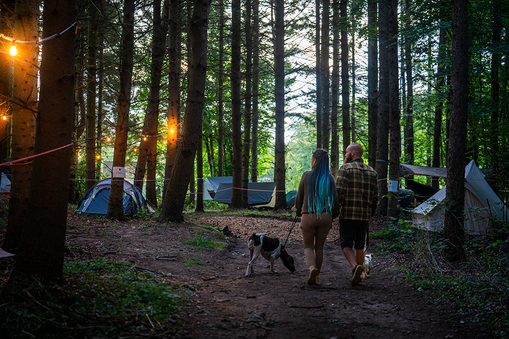 Camping 3