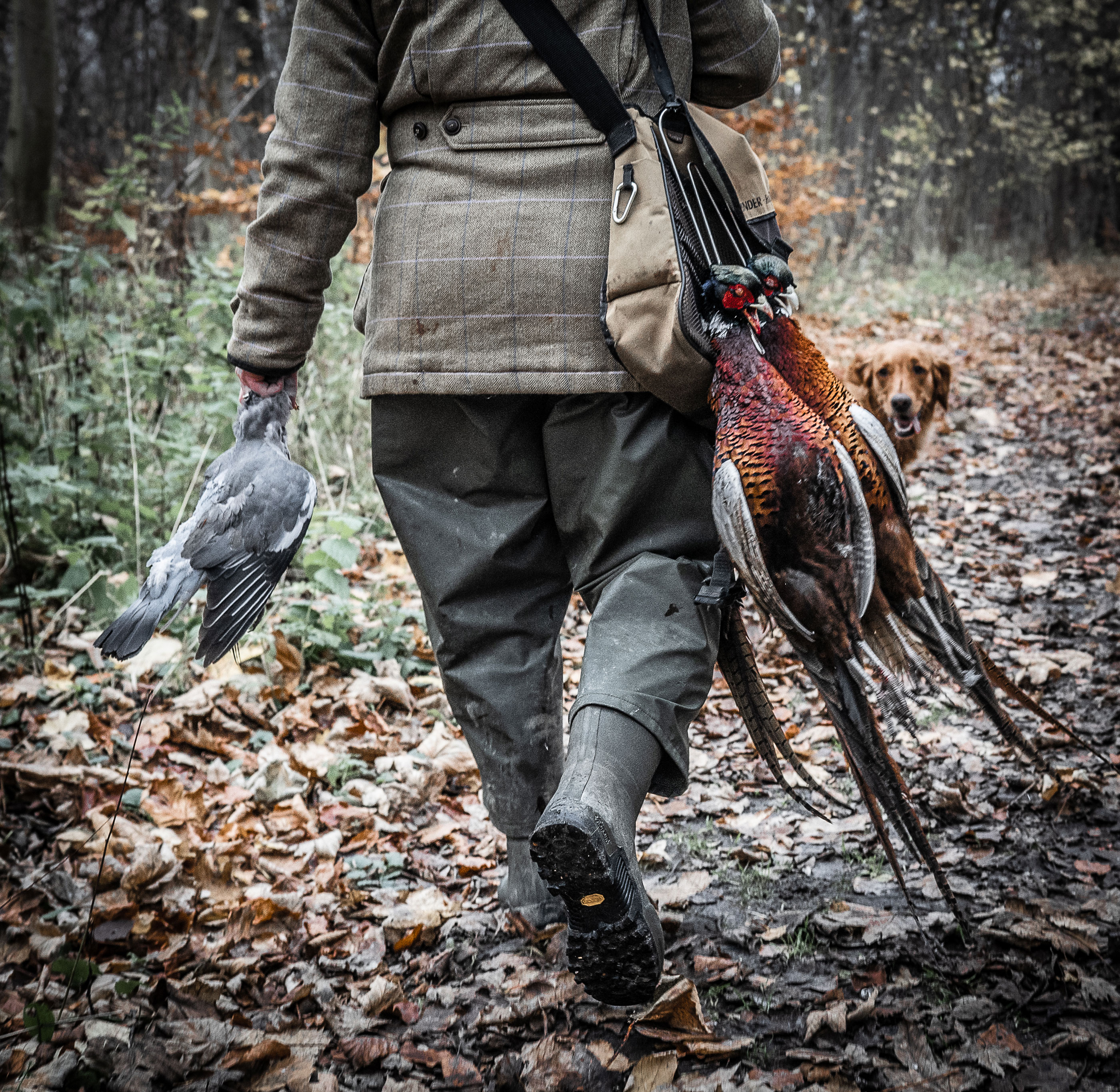 Jonasoutside 2166 Web