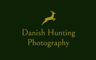 Rebel Photo logo